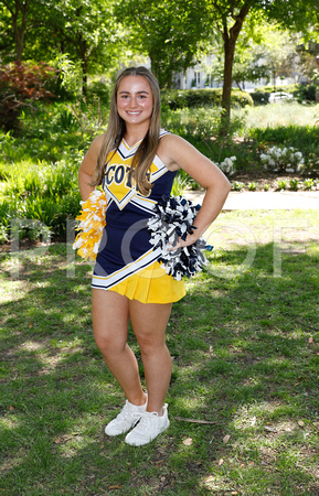 00485Spirited Cheer 041225